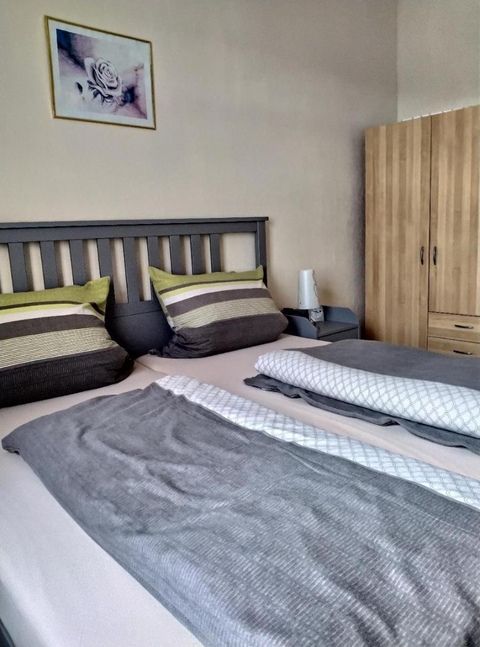 Ambiente-An-Der-Elbe-Wohnung-Og Дрезден Екстер'єр фото
