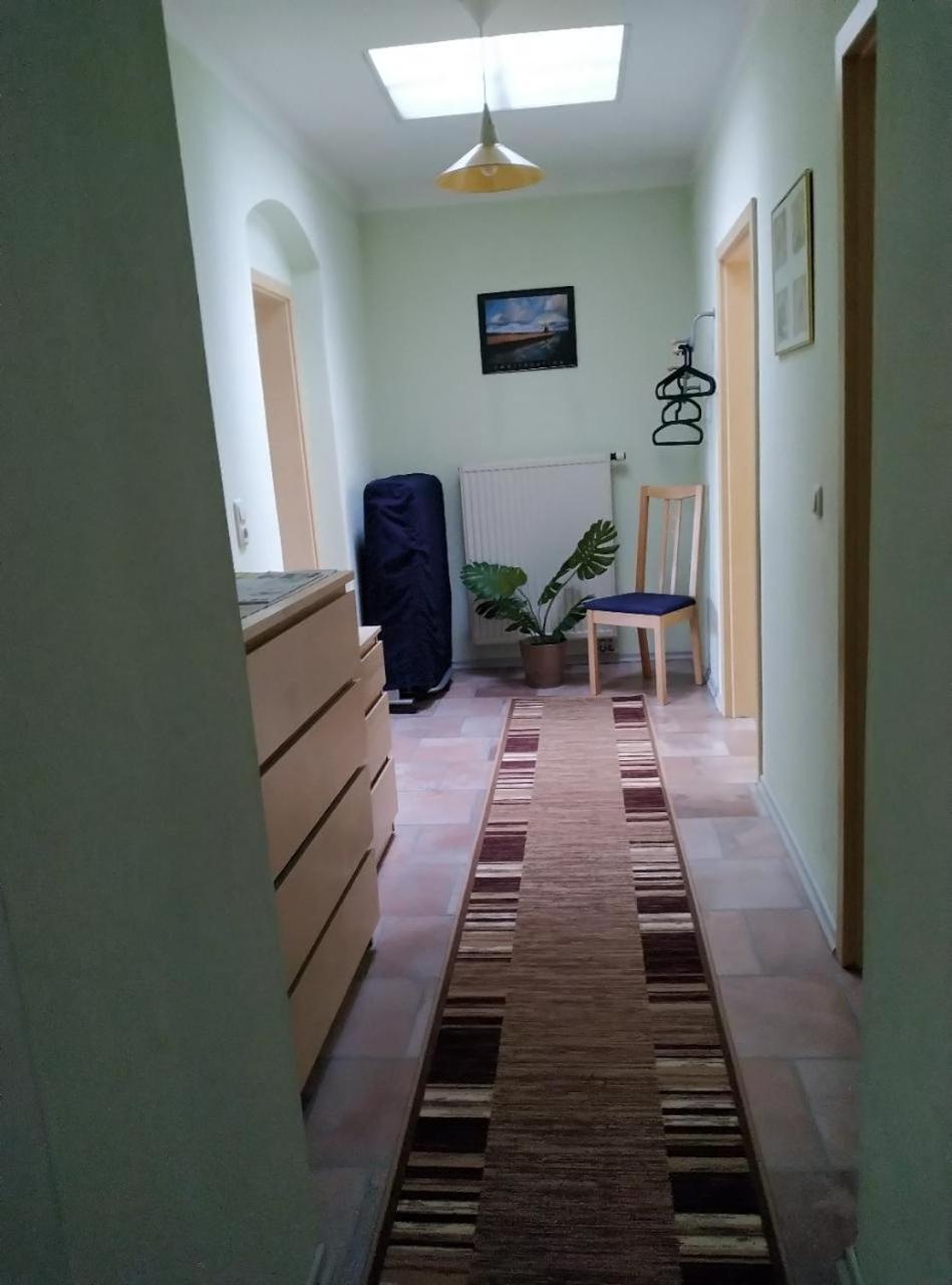 Ambiente-An-Der-Elbe-Wohnung-Og Дрезден Екстер'єр фото