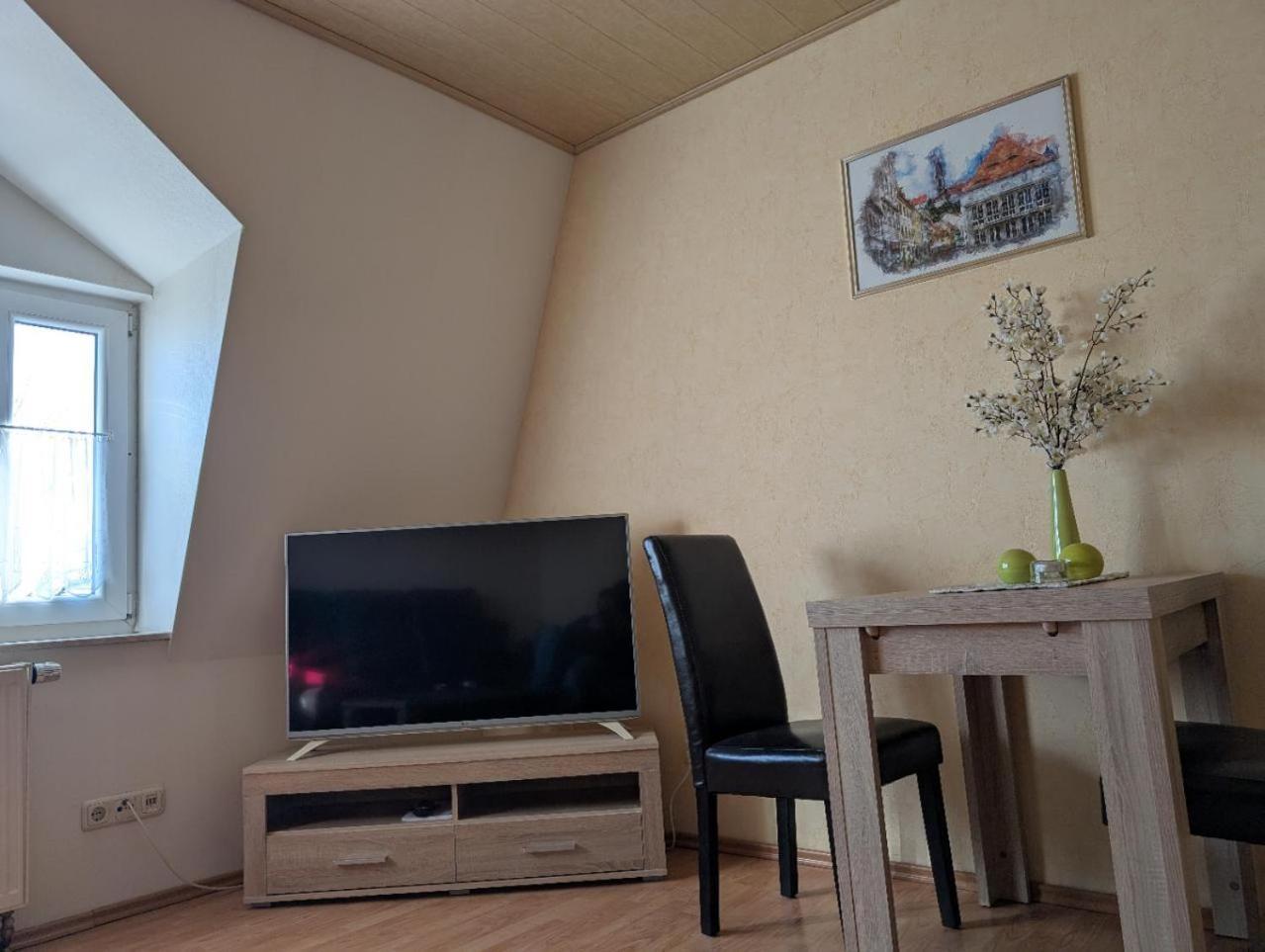 Ambiente-An-Der-Elbe-Wohnung-Og Дрезден Екстер'єр фото