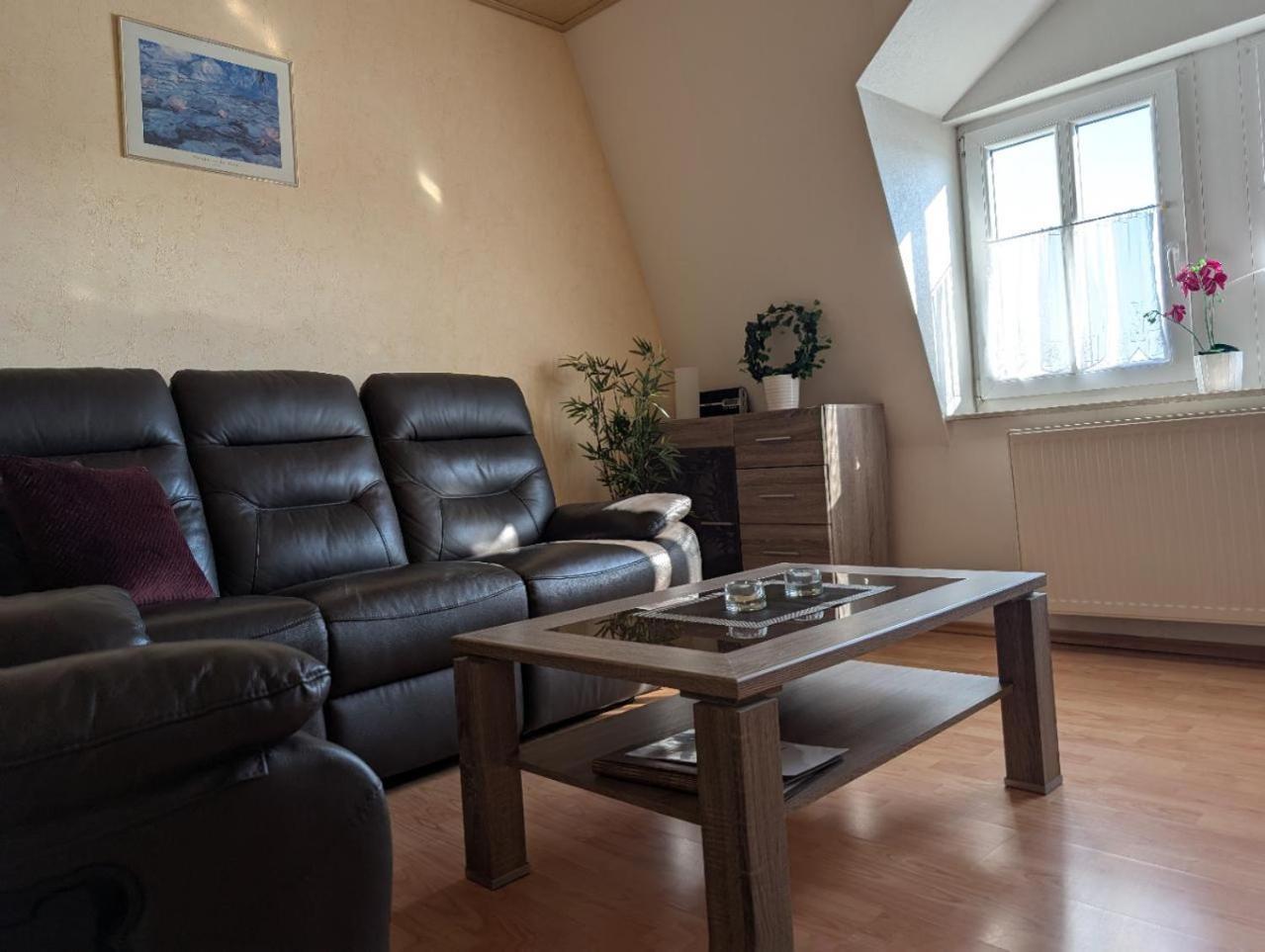 Ambiente-An-Der-Elbe-Wohnung-Og Дрезден Екстер'єр фото