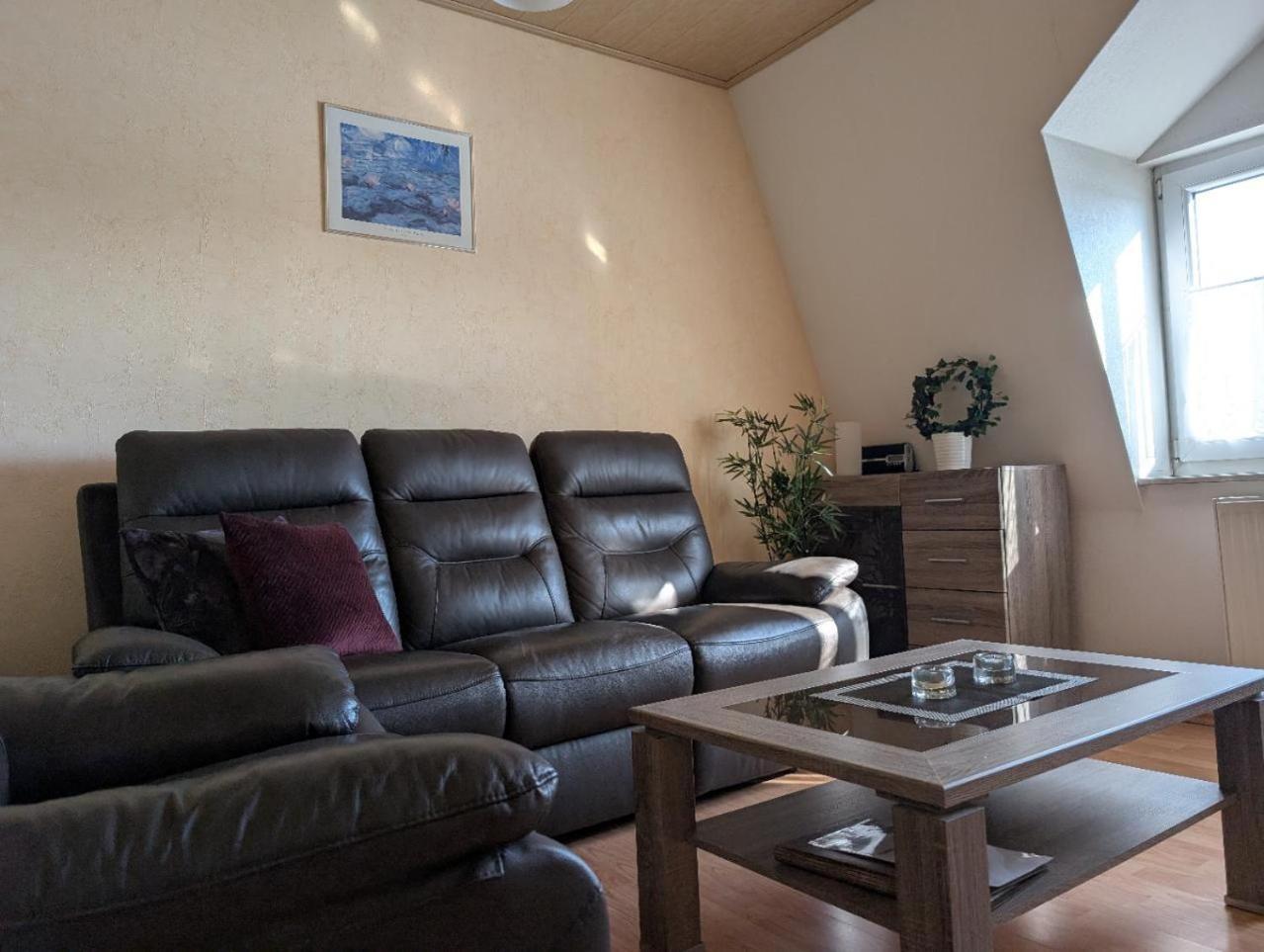 Ambiente-An-Der-Elbe-Wohnung-Og Дрезден Екстер'єр фото